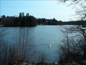 韦尔斯利大学 韦尔斯利大学