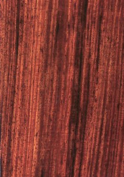 红酸枝木 红酸枝木