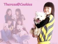 《认住我》 《认住我》