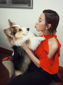 泳儿爱宠 泳儿爱宠