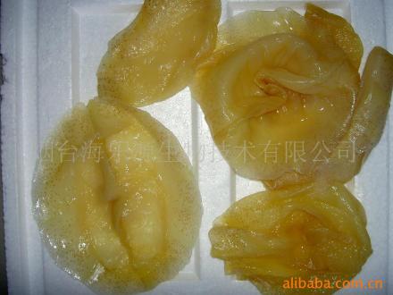湿海蜇皮 湿海蜇皮