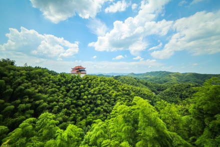 桃花江竹海旅游区