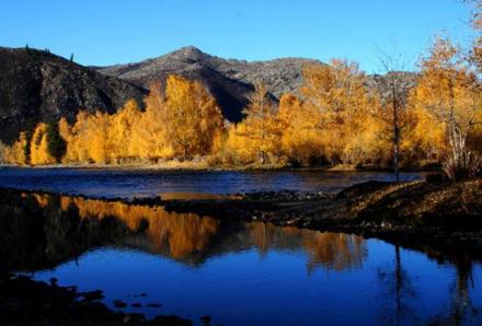 额尔齐斯河美丽掠影
额尔齐斯河美丽掠影