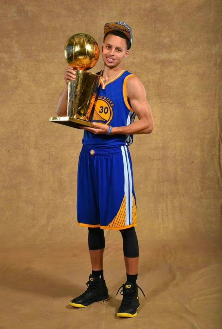 2014-15赛季NBA总冠军 2014-15赛季NBA总冠军