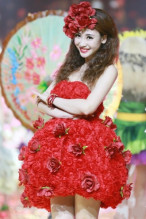 柳岩主持/参加综艺图册