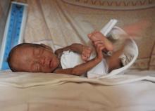 生命的奇迹 生命的奇迹