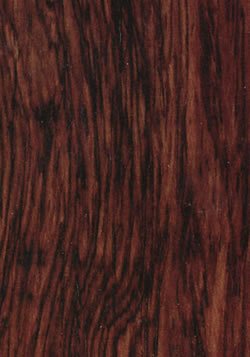 黑酸枝木 黑酸枝木