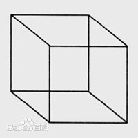 图知觉的选择性—1 图知觉的选择性—1