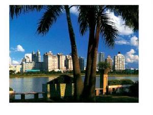 转口集散型自由贸易区 转口集散型自由贸易区