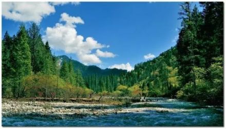 四川小河沟自然保护区 四川小河沟自然保护区