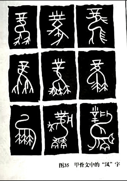 甲骨文中的凤字 甲骨文中的凤字