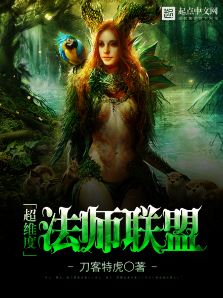 超维度法师联盟 超维度法师联盟