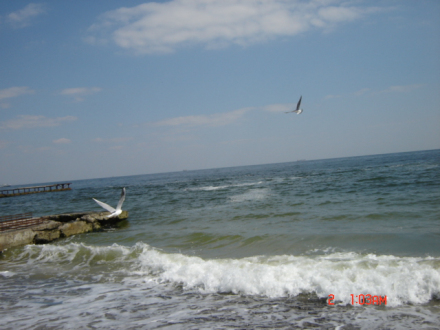 黑海乌克兰海域 黑海乌克兰海域