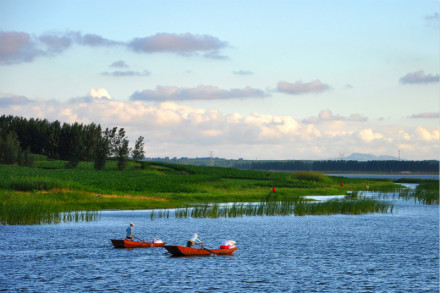 胶河湿地公园 胶河湿地公园