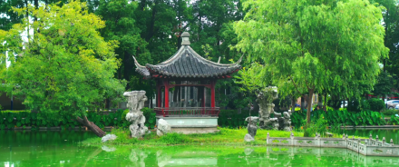 盛夏时节的江阳路南校区 盛夏时节的江阳路南校区