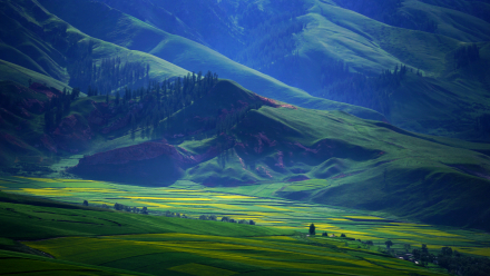 河西走廊植被 河西走廊植被