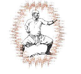 虎鹤双形拳 虎鹤双形拳