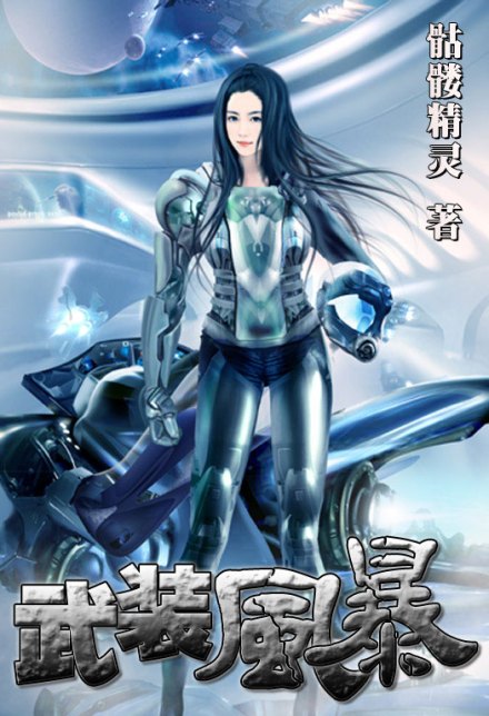 《武装风暴》封面 《武装风暴》封面