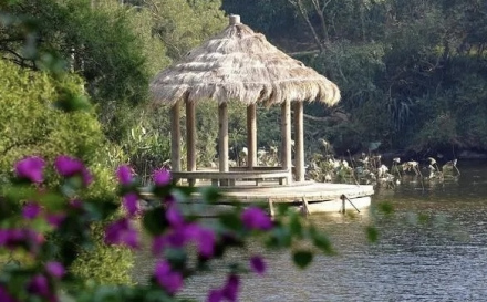 思源谷(情人谷) 思源谷(情人谷)