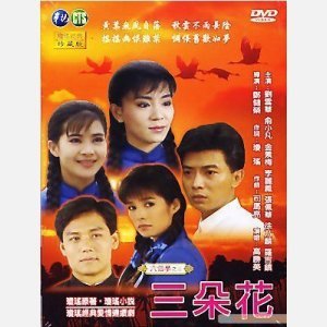 三朵花 华视普版DVD 三朵花 华视普版DVD