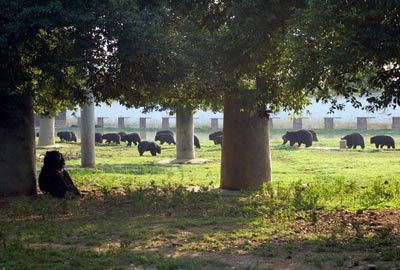 雄森熊虎山庄
雄森熊虎山庄