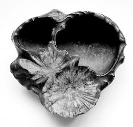 菊花石笔洗赏析 菊花石笔洗赏析