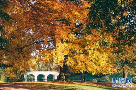 布鲁塞尔 布鲁塞尔