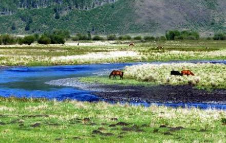 大兴安岭中的哈拉哈河 大兴安岭中的哈拉哈河