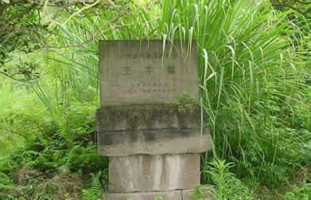 王平墓 王平墓