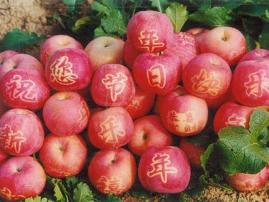 淳化苹果 淳化苹果