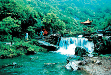 江洲鹭影 江洲鹭影