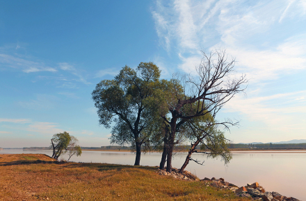 黄河控导风光 黄河控导风光