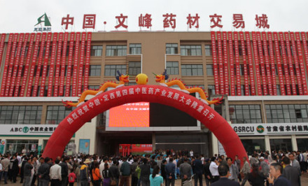 陇西县药材交易地 陇西县药材交易地