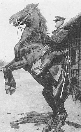 挂在骑兵战马鞍桥后部的甲型三二年式军刀 挂在骑兵战马鞍桥后部的甲型三二年式军刀