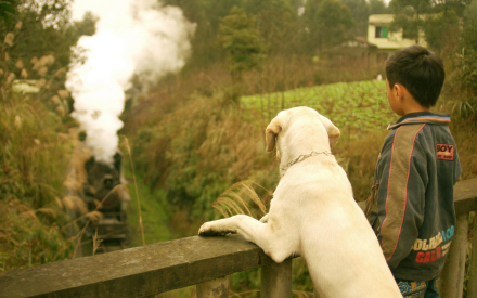 电影《等爱》剧照 电影《等爱》剧照