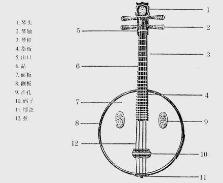 阮的结构 阮的结构