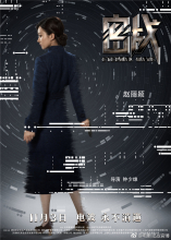 赵丽颖《密战》