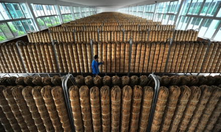 黑茶厂车间 黑茶厂车间