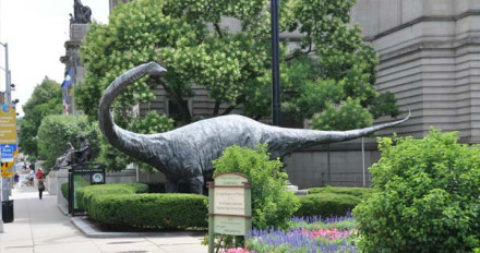 匹兹堡大学校园 匹兹堡大学校园