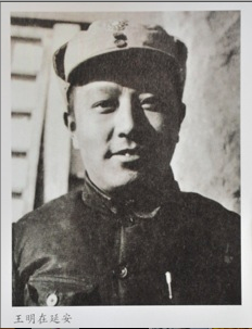 王明 王明