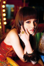 写真及出席活动照