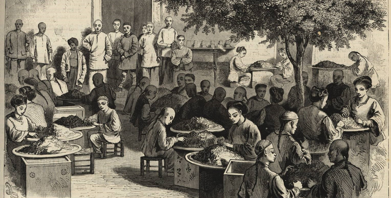 1871年绘制的台湾淡水民众在制作供应美国市场的台湾茶