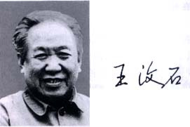 王汶石 王汶石