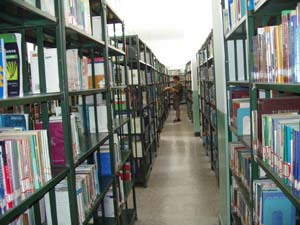 丰富的馆藏 丰富的馆藏