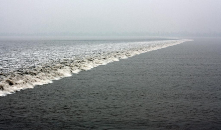 观潮有感 观潮有感