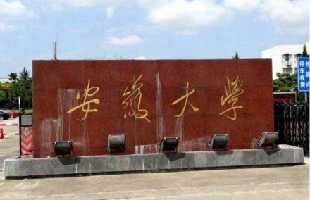 安徽大学 安徽大学