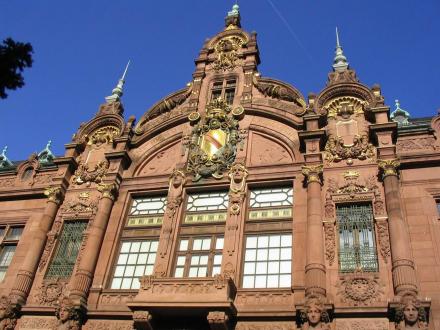 海德堡大学 海德堡大学