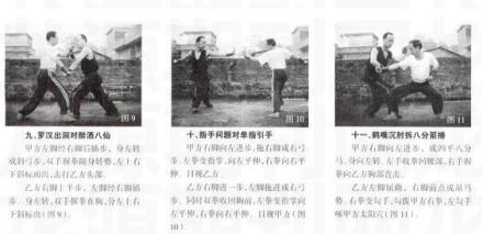 虎鹤双形拳图解 虎鹤双形拳图解