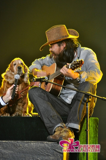 草根文化 草根文化