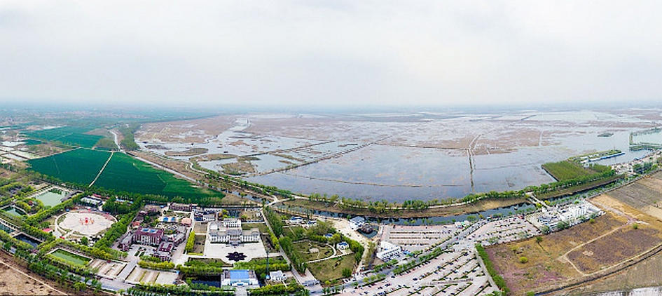 白洋淀西部安新县界内湖面